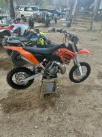 IMG_8381.jpeg