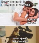 img_4598_3b97bd55362edad2307cdcd4234e3184e8122ca9.jpeg