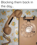 1745866981229.png