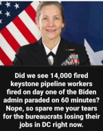1747229559450.png