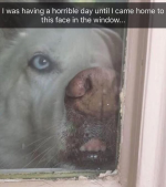 1747919110909.png