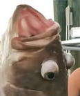 1749072110925.png