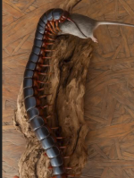 1750712078853.png