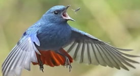1754084515003.png