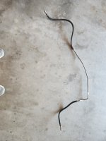 fuel line.jpg