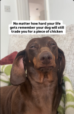 Screenshot 2026-01-16 at 09-22-47 Facebook.png