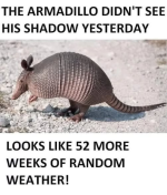 1770304628771.png