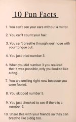 629321706_926839373135128_4427497086805510706_n.jpg