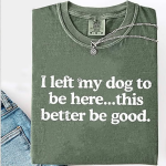 1770668417821.png