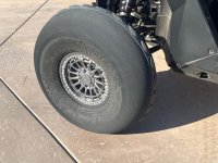 IMG_8358.jpeg