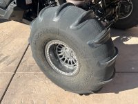 IMG_8359.jpeg
