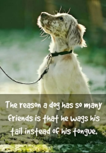 1770745367237.png