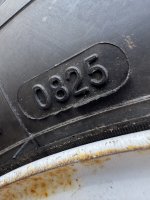 IMG_5887.jpeg