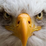 1770993700054.png