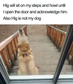 1770995600000.png