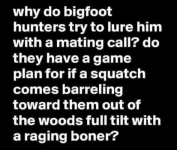 1770995643179.png