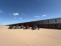 buttercup border wall.jpg