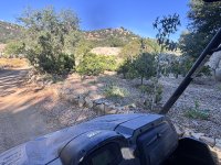 IMG_3326.jpeg