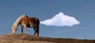 1775816685959.png