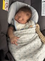 IMG_0337.jpeg