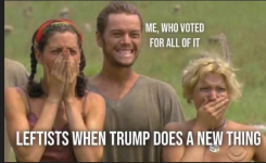 1775862042504.png