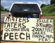 1775902302854.png