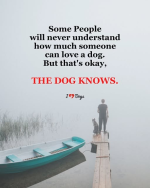 1775911572281.png