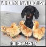 1776160591646.png
