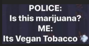 1776203985445.png