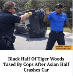 1776204372395.png