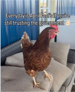 1776259572071.png