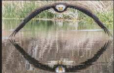 1776288275295.png