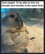 1776292361043.png