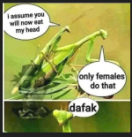 1776295283262.png
