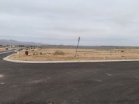 IMG_9133.jpeg