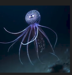 1776611609438.png
