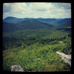 IMG_0611.jpeg