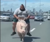1776874364345.png