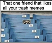 1777136359882.png