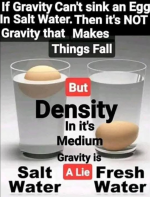 1777377493210.png