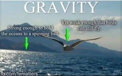 1777377521585.png
