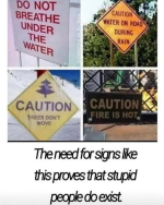 1777381522025.png