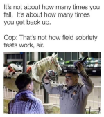 1777560957706.png