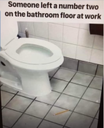 1777725072719.png
