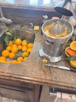 IMG_3545.jpeg