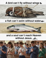 1777768812385.png