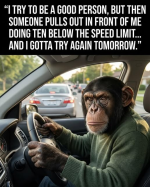 1777905456815.png