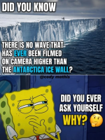 1778072409740.png