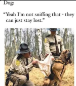 1778077891625.png